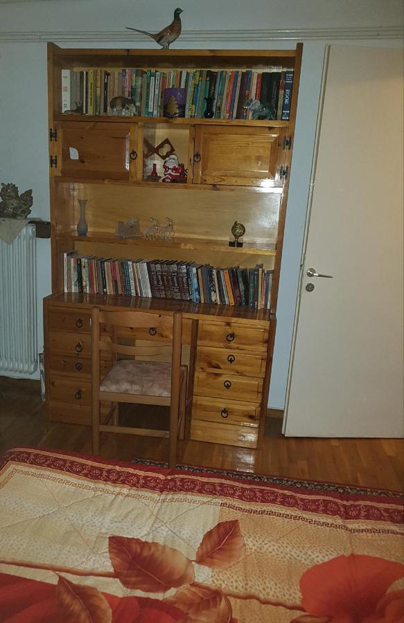 Goodbye, Lenin Apartment Trikala  Luaran gambar